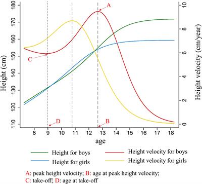 Frontiers Association between height growth patterns in puberty